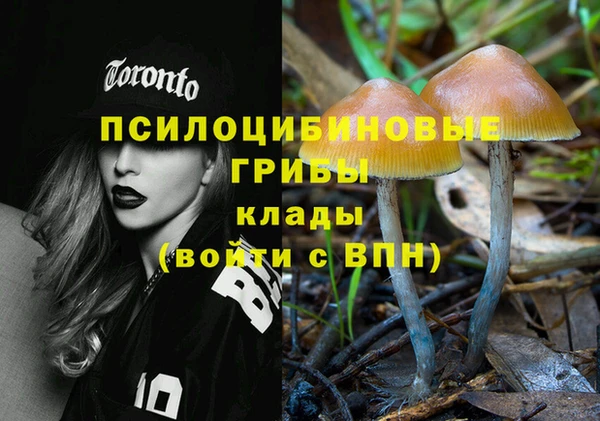 COCAINE Заводоуковск