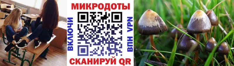 Галлюциногенные грибы мицелий  OMG как войти  Рубцовск  где купить наркоту 
